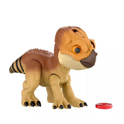 JURASSIC WORLD interaktyvus dinozauras – Aquilops (JGC01)
