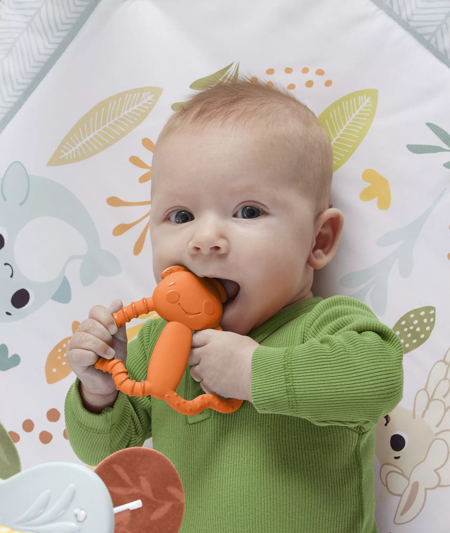 FISHER-PRICE kramtukas – Spalvotas draugas (JFJ95)